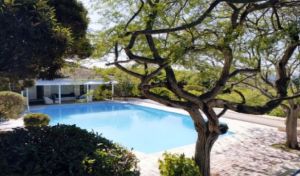 c31-Bunny Mellon house in Antigua - pool.jpg